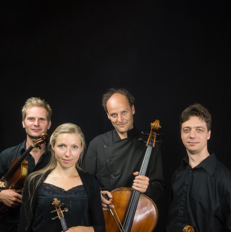 Taurus quartet